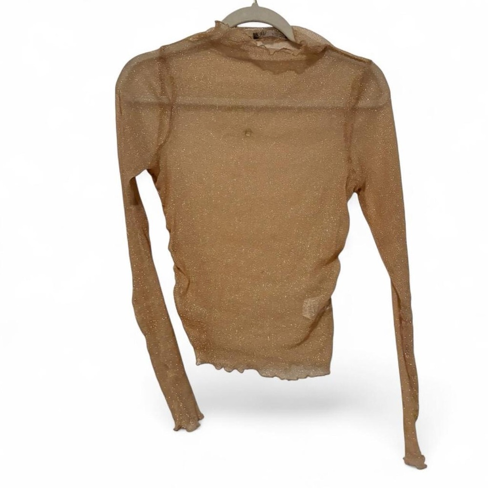 Sheer mesh long sleeve gold shimmer Zara mock neck large